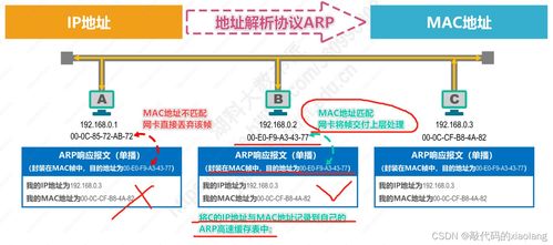計算機網絡入門基礎篇 數據鏈路層（下）與相關技術開發(fā)服務